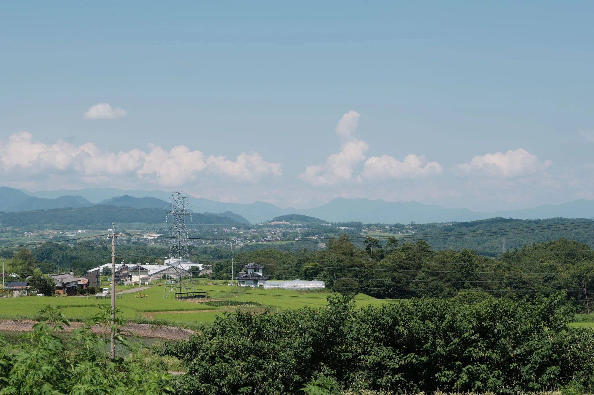 長野産のいいもの、集めました。