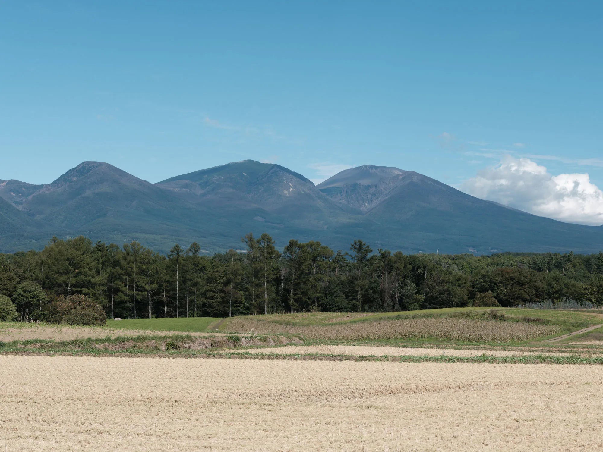 リモートスタッフ、初めてわざわざを訪れる