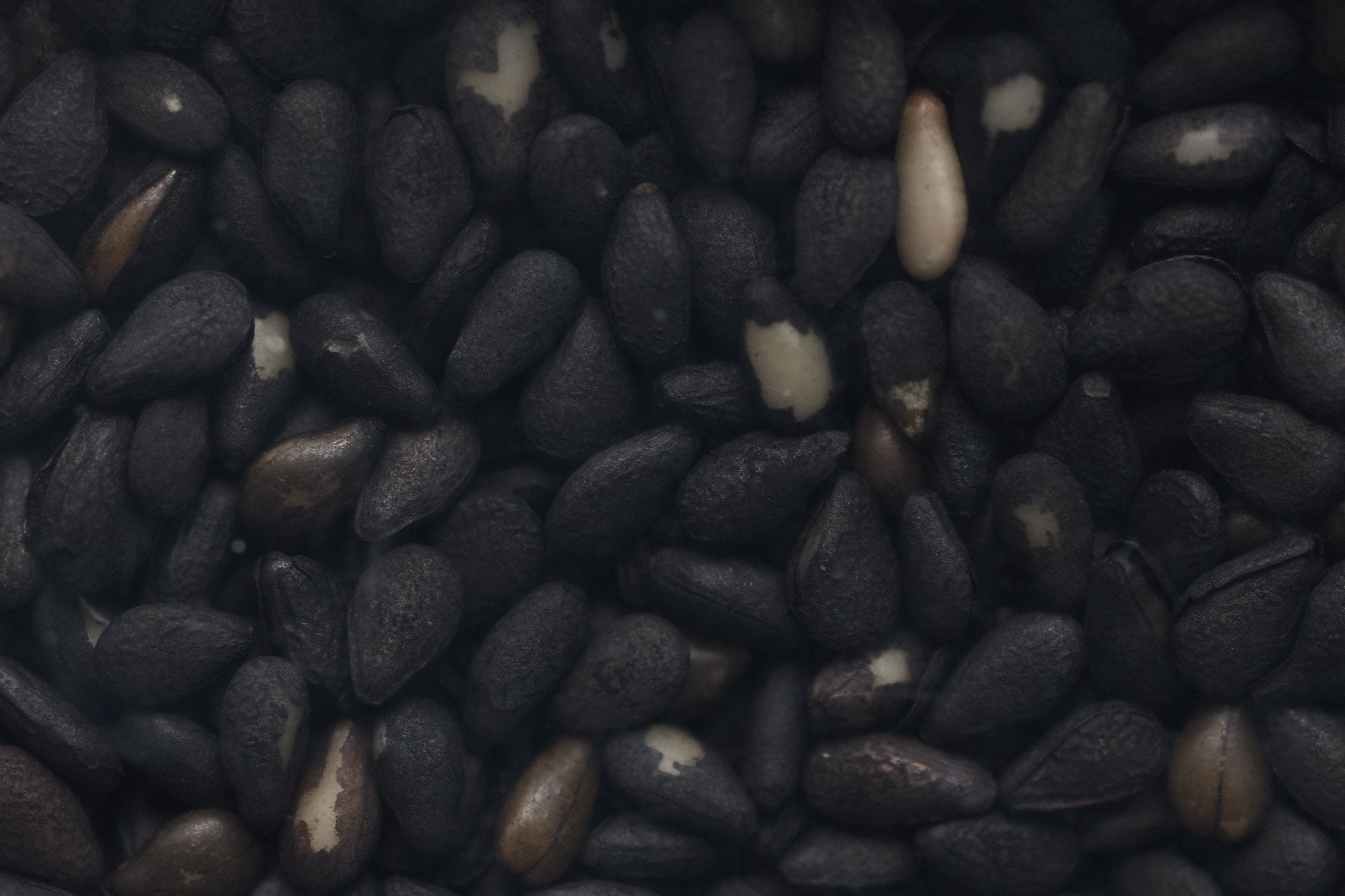 ムソー/有機いりごま