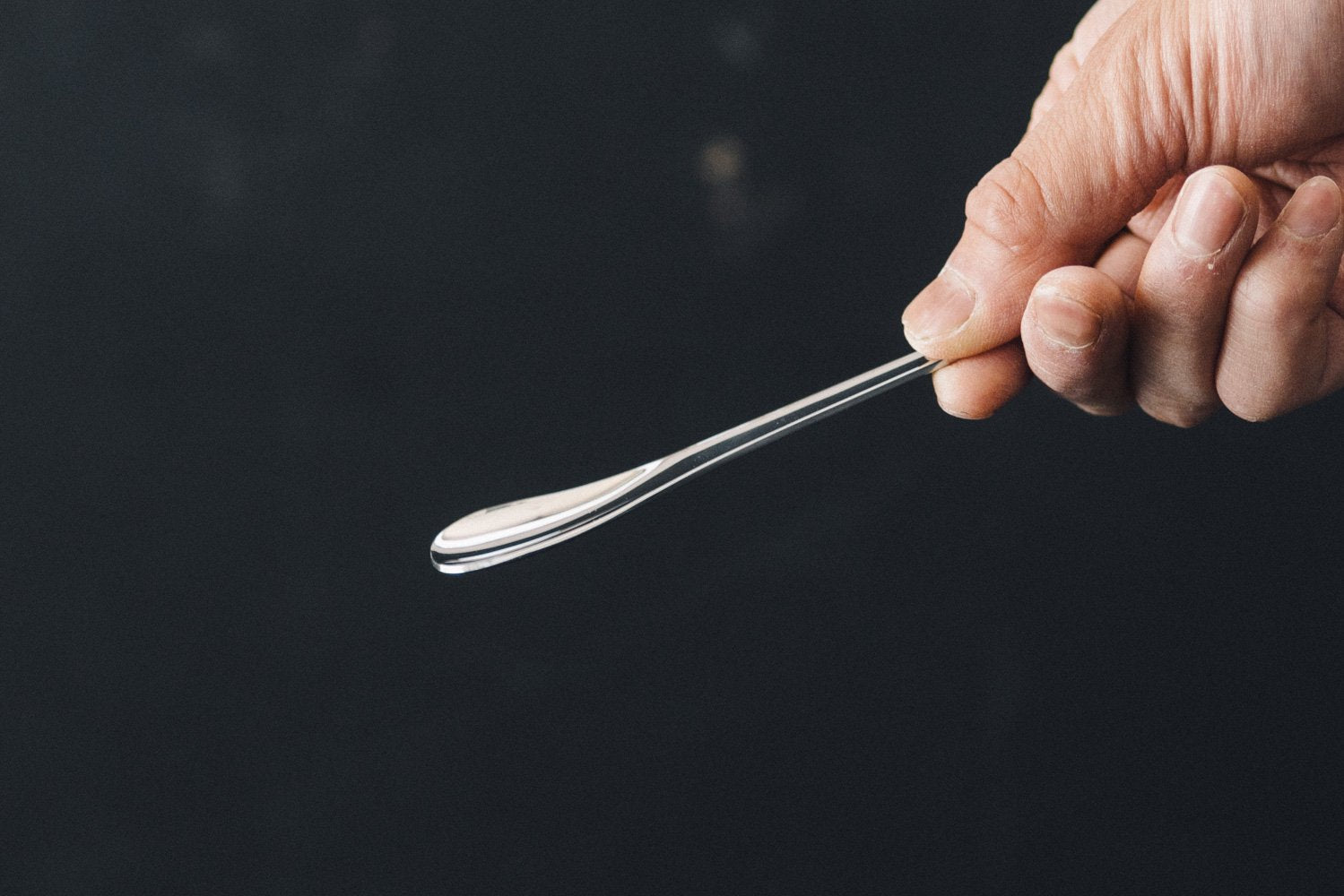 ピカード&ヴィールプッツ/スプーン