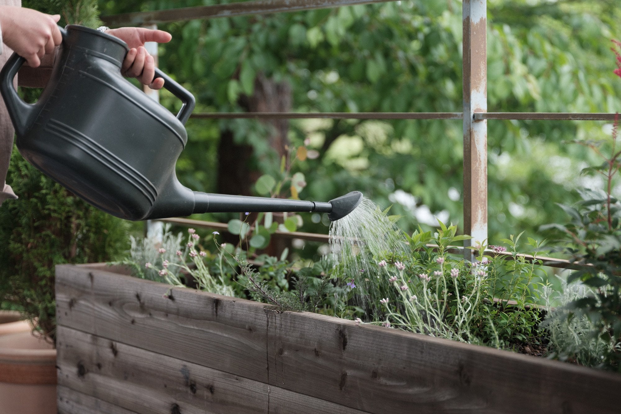 環境大善/液体たい肥/土いきかえる