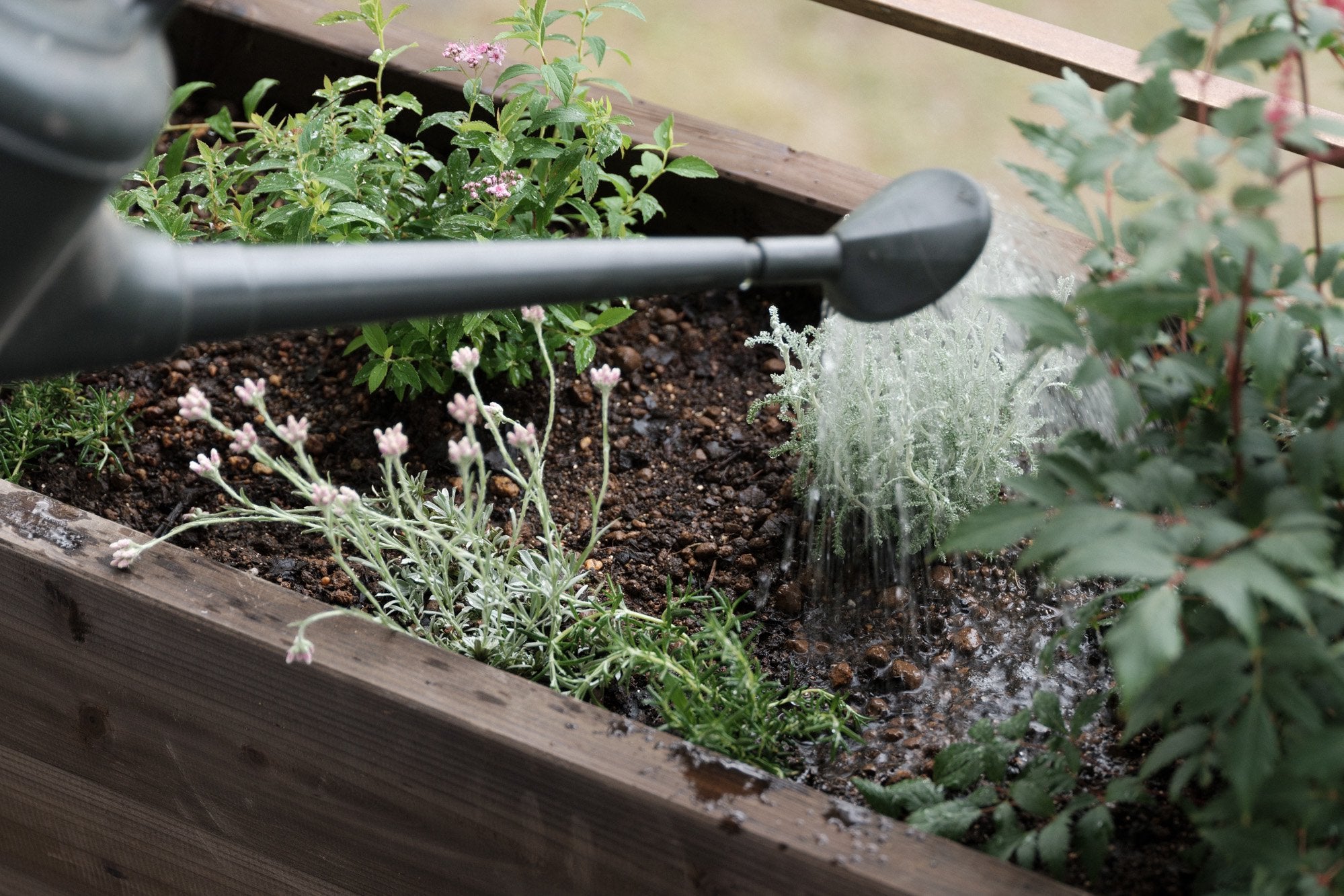 環境大善/液体たい肥/土いきかえる