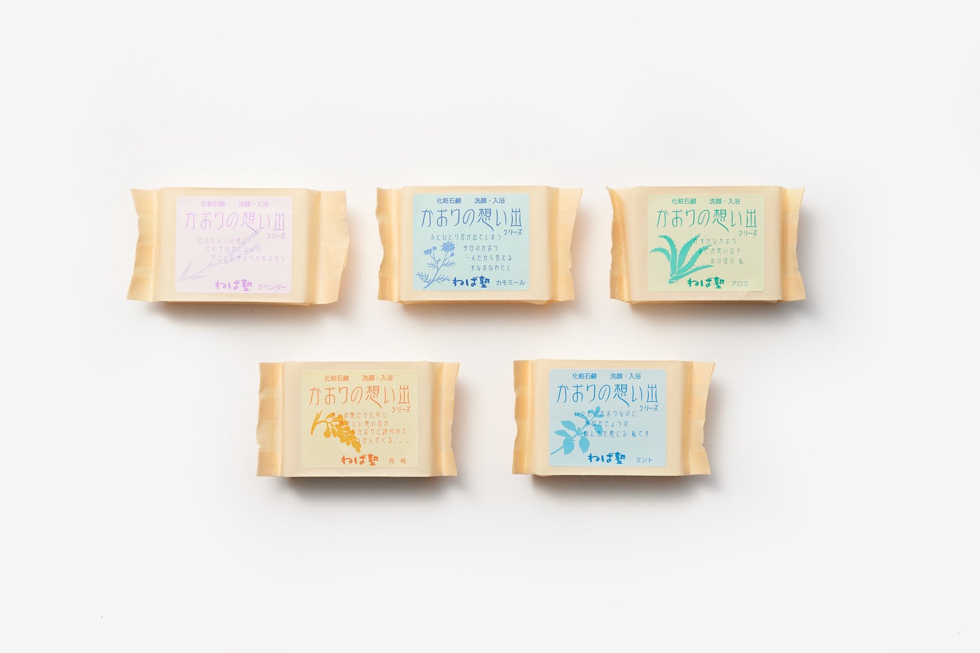 ねば塾/かおりの想い出