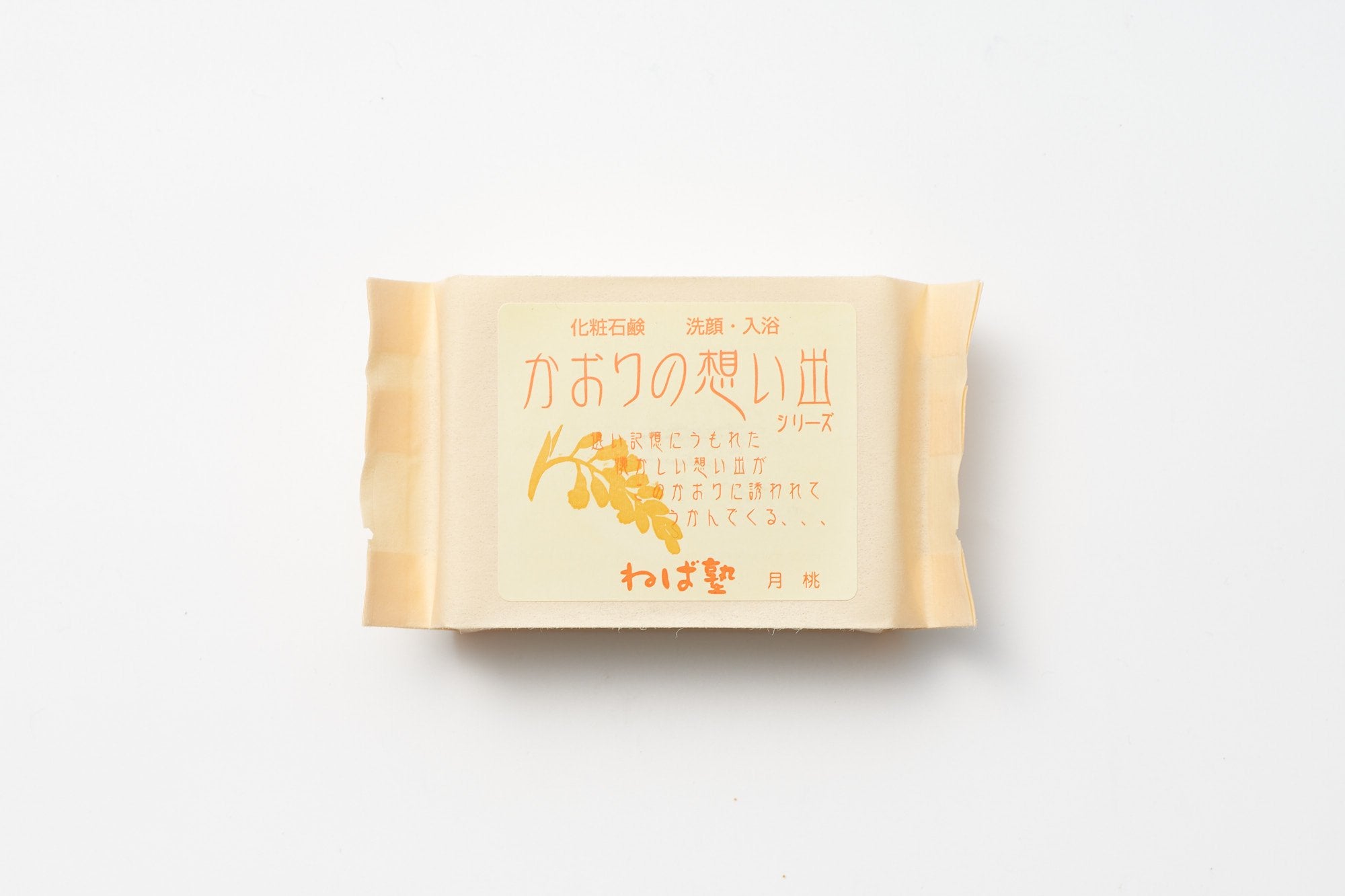 ねば塾/かおりの想い出