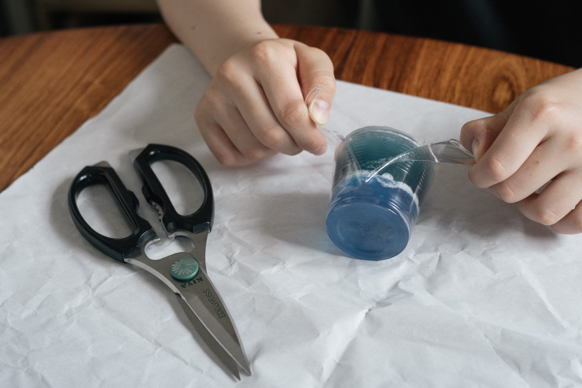 ねば塾/とうめい石鹸キット