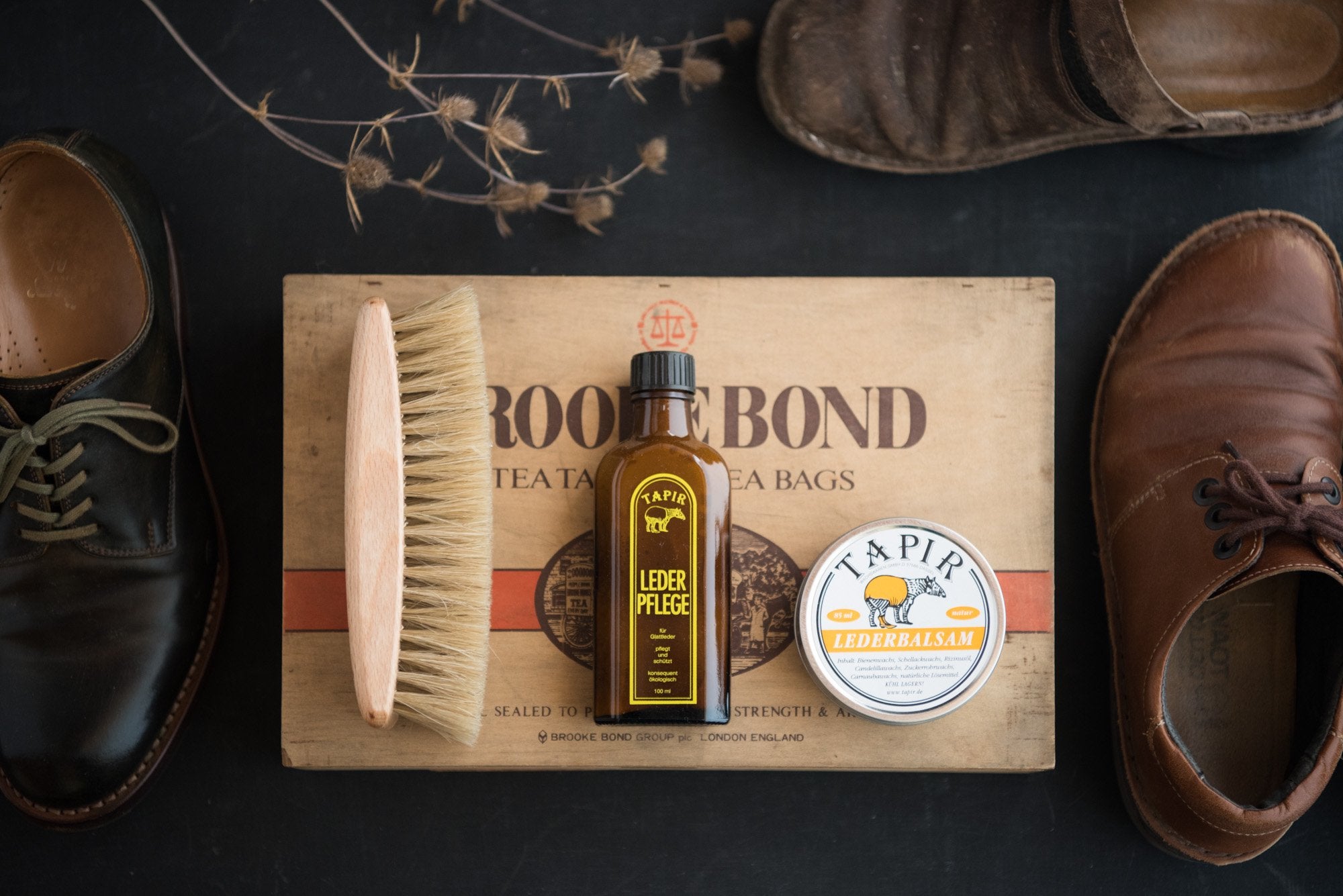 TAPIR/レーダーフレーゲ