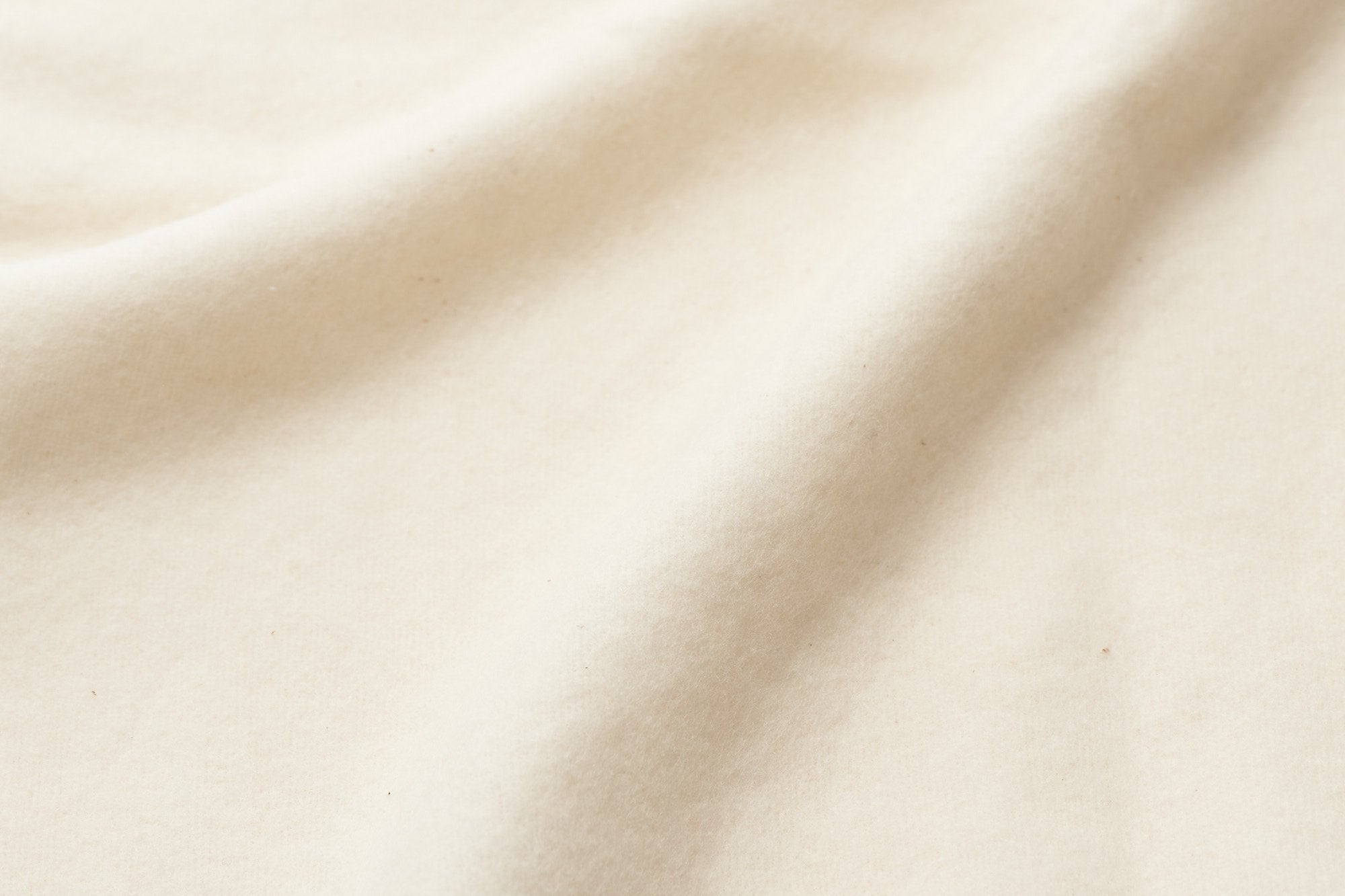 TAPIR/コットンネル