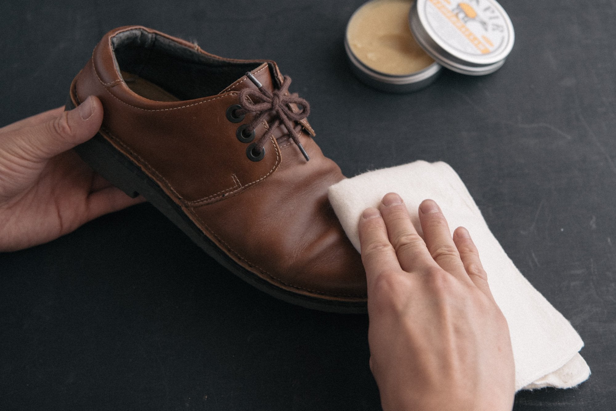 TAPIR/コットンネル