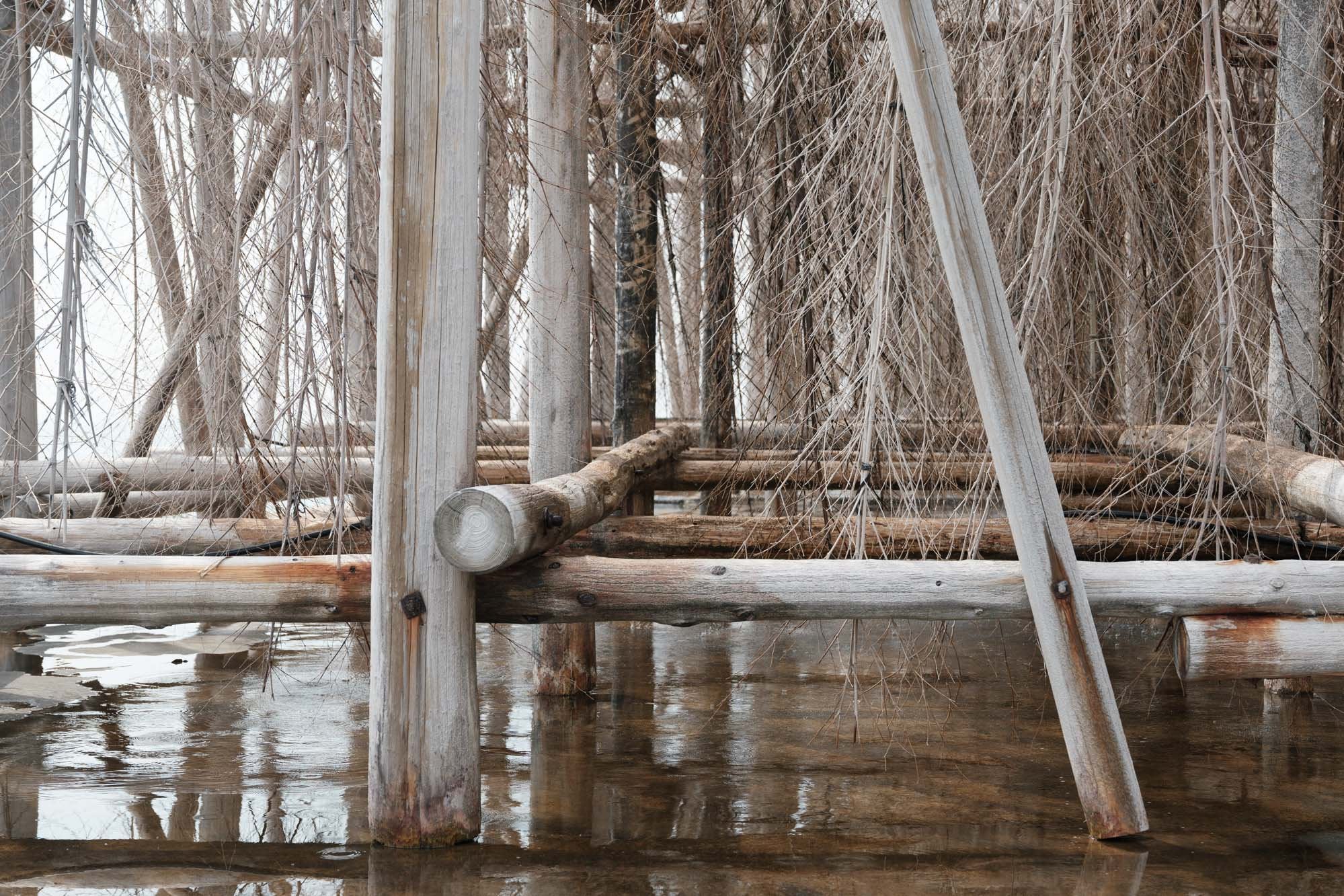 またいちの塩/炊塩