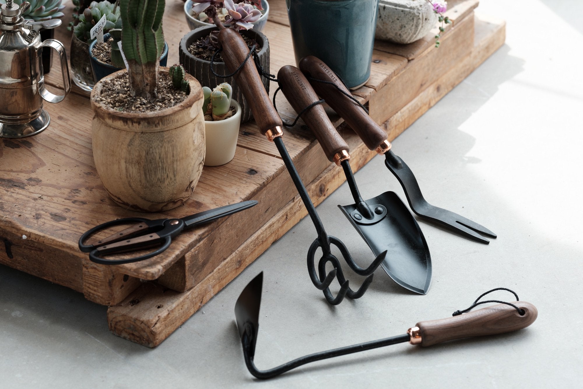 BAREBONES/ダンデリオン ウェーディングフォーク