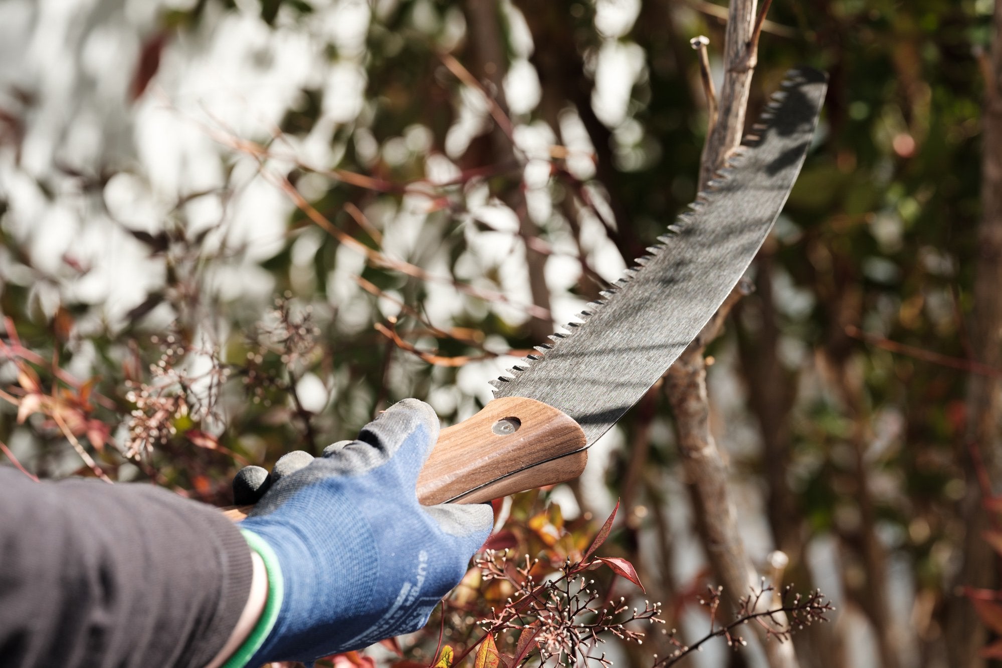 BAREBONES/ティンバーソー