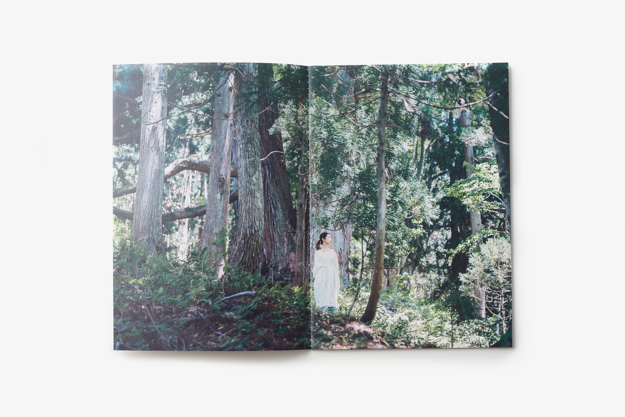 石徹白洋品店/いとしろ民衣シリーズ/越前シャツの作り方