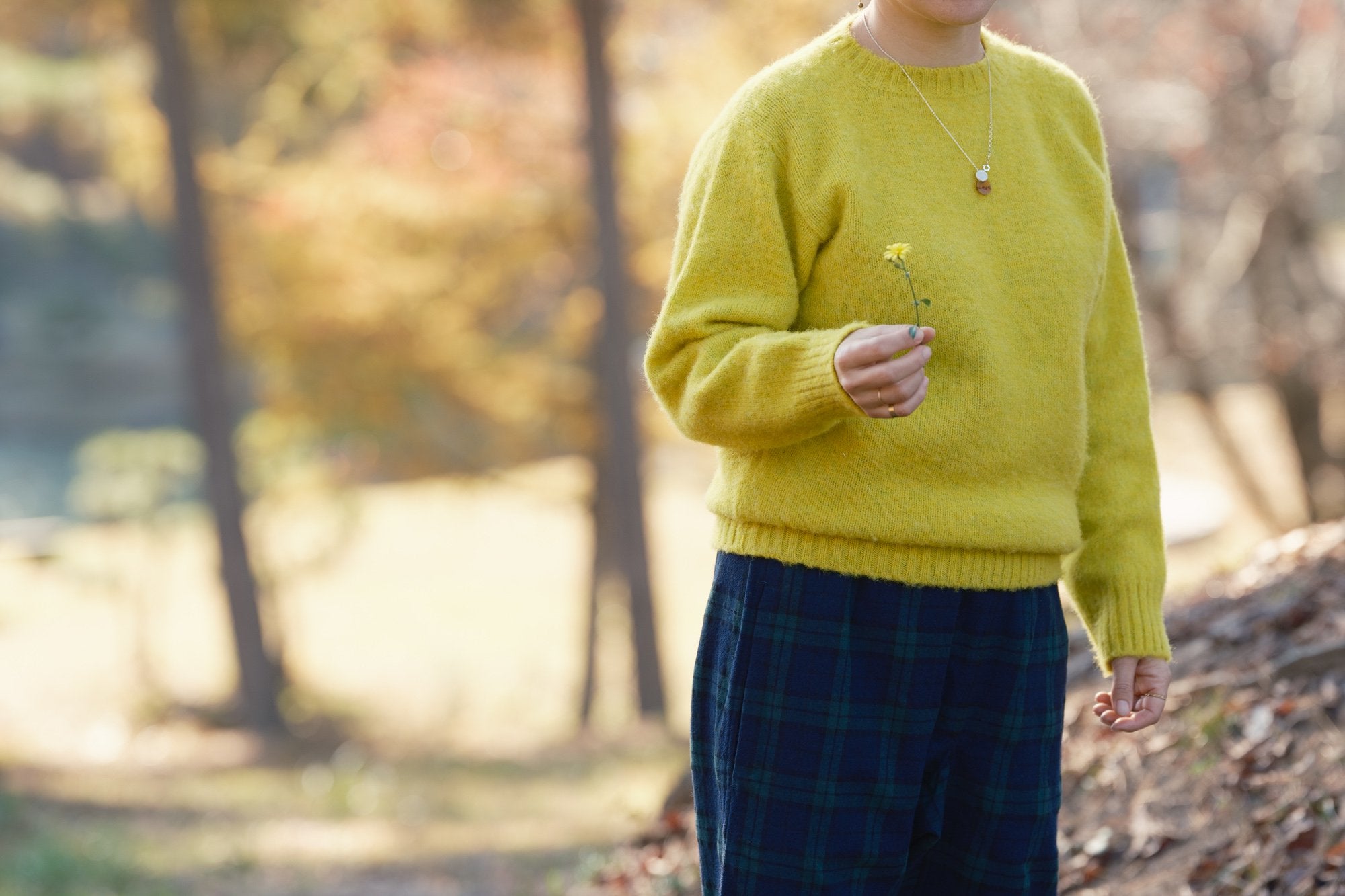 Shetland Woollen Co/クルーネック