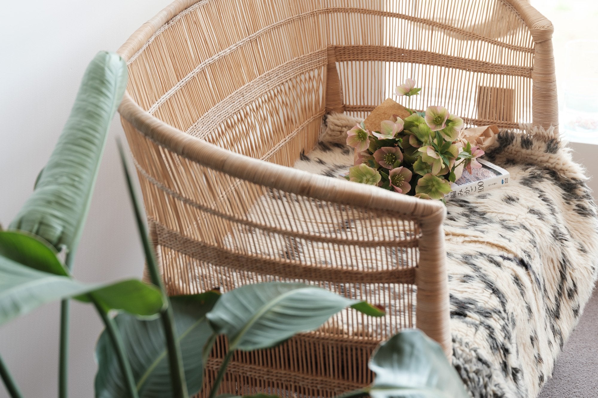 LIGHT YEARS/MRIRT RUG