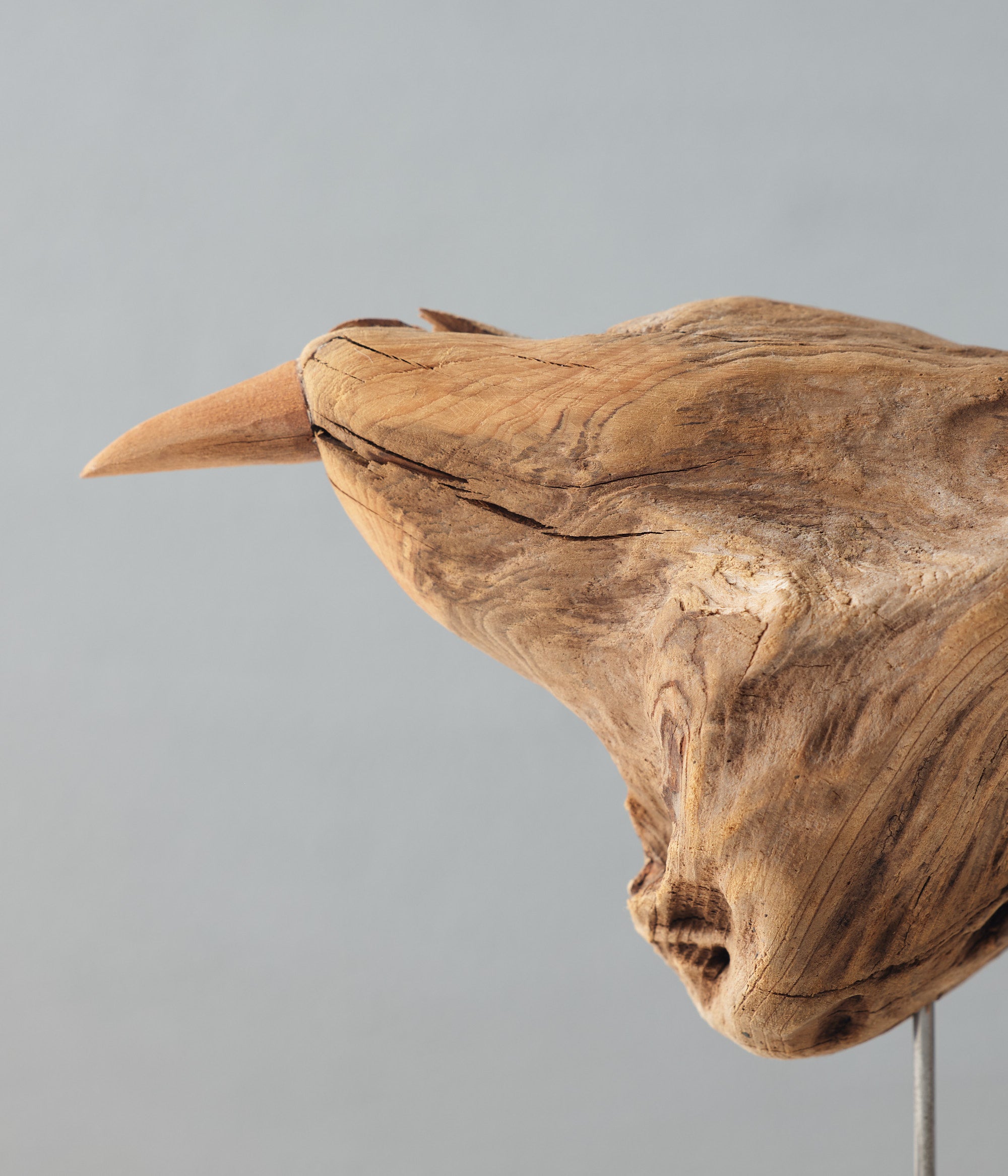 針原修/流木の鳥