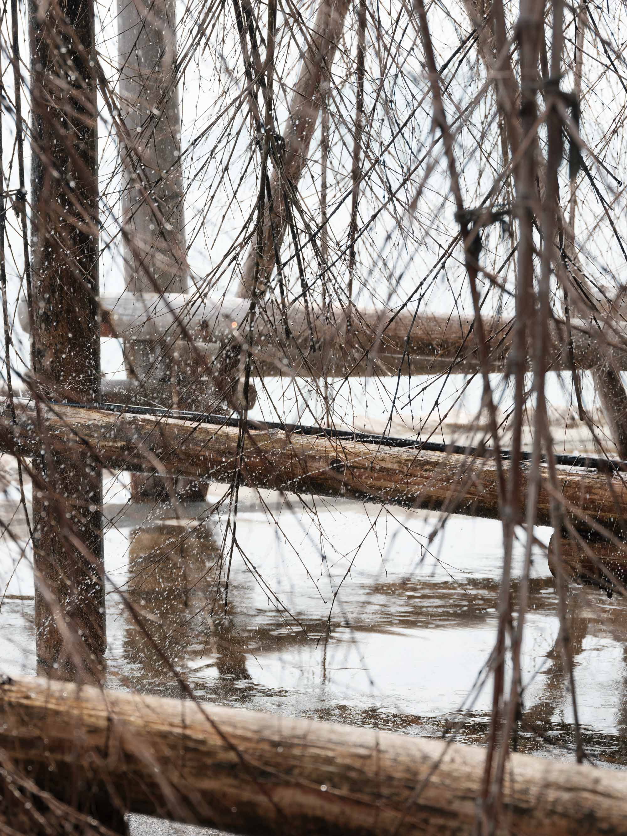 またいちの塩/炊塩