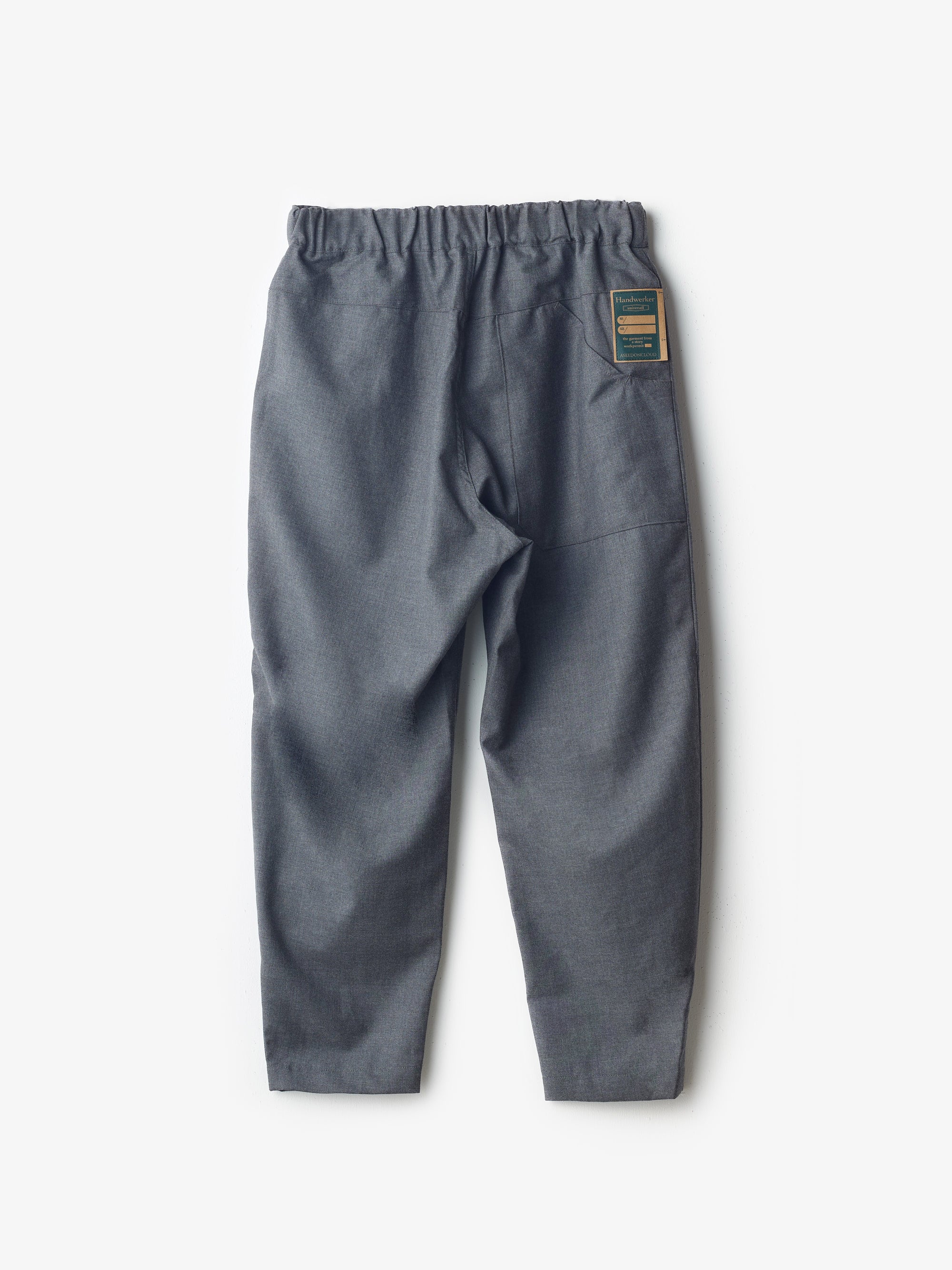 ASEEDONCLOUD/HW EASY TROUSERS/Cordura wool