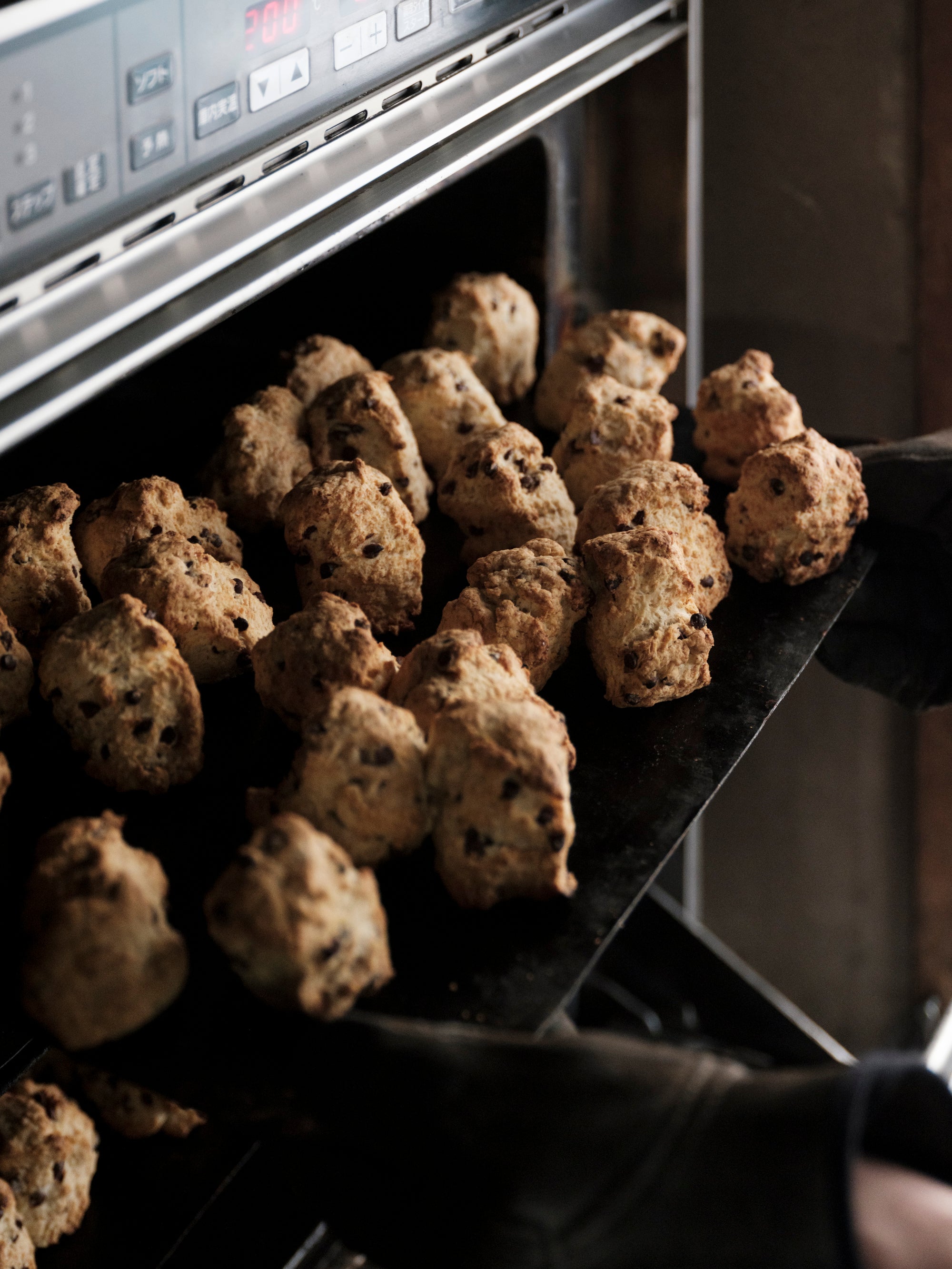 ギフト/バレンタイン/わざわざのお菓子とお茶の時間セット