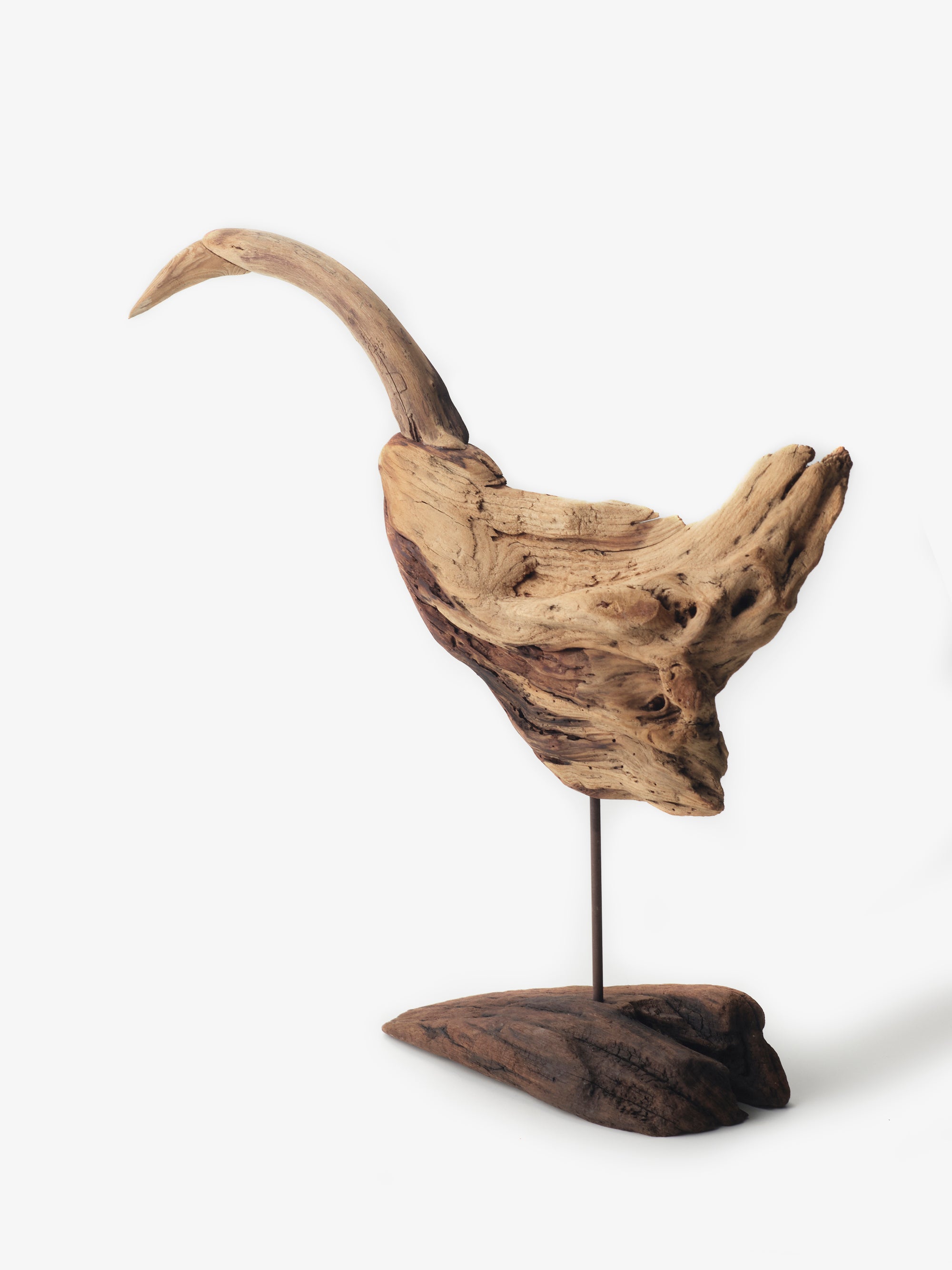 針原修/流木の鳥