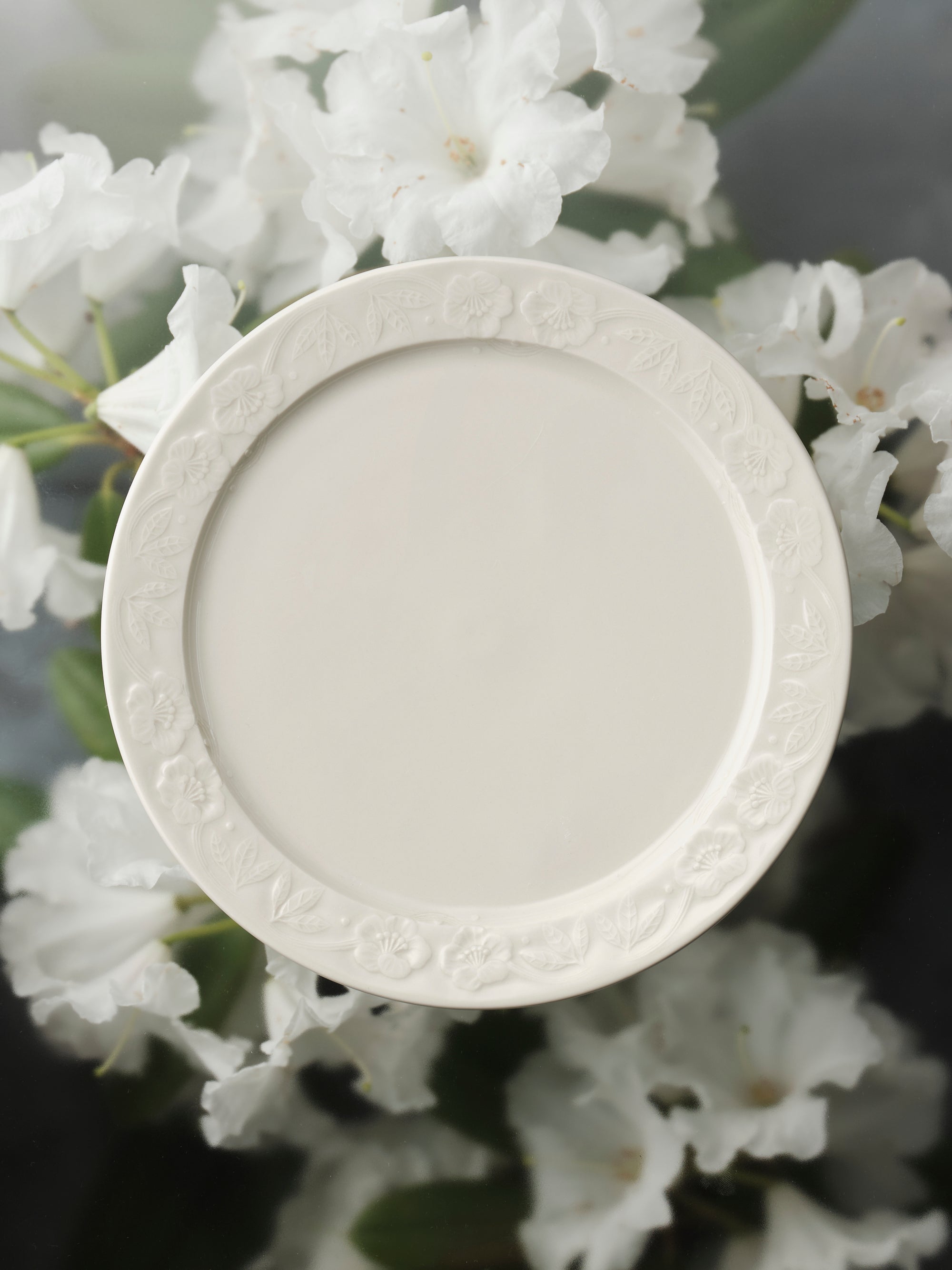 選ばない器/6枚セット