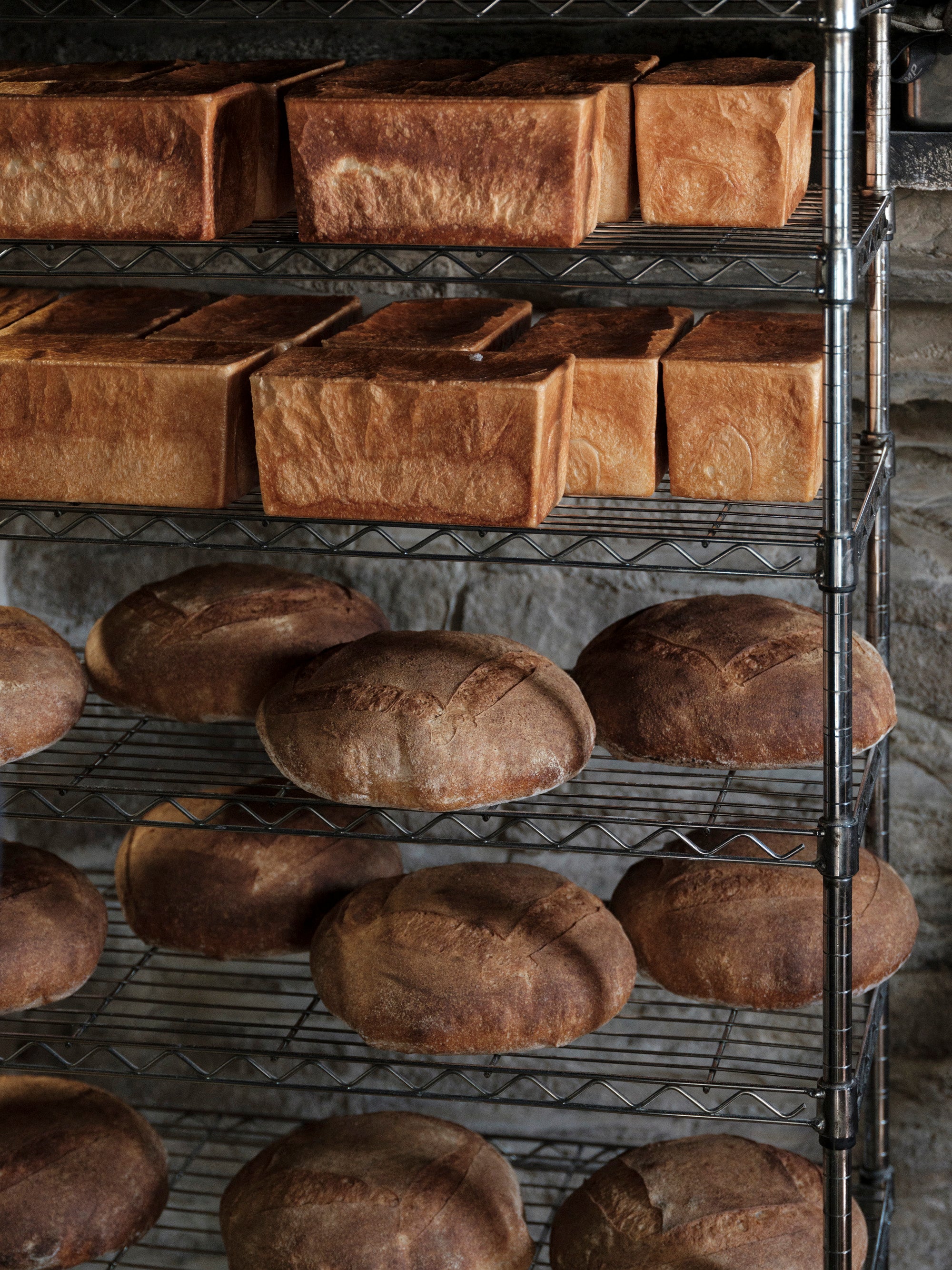 よき生活者になる体験ツアー