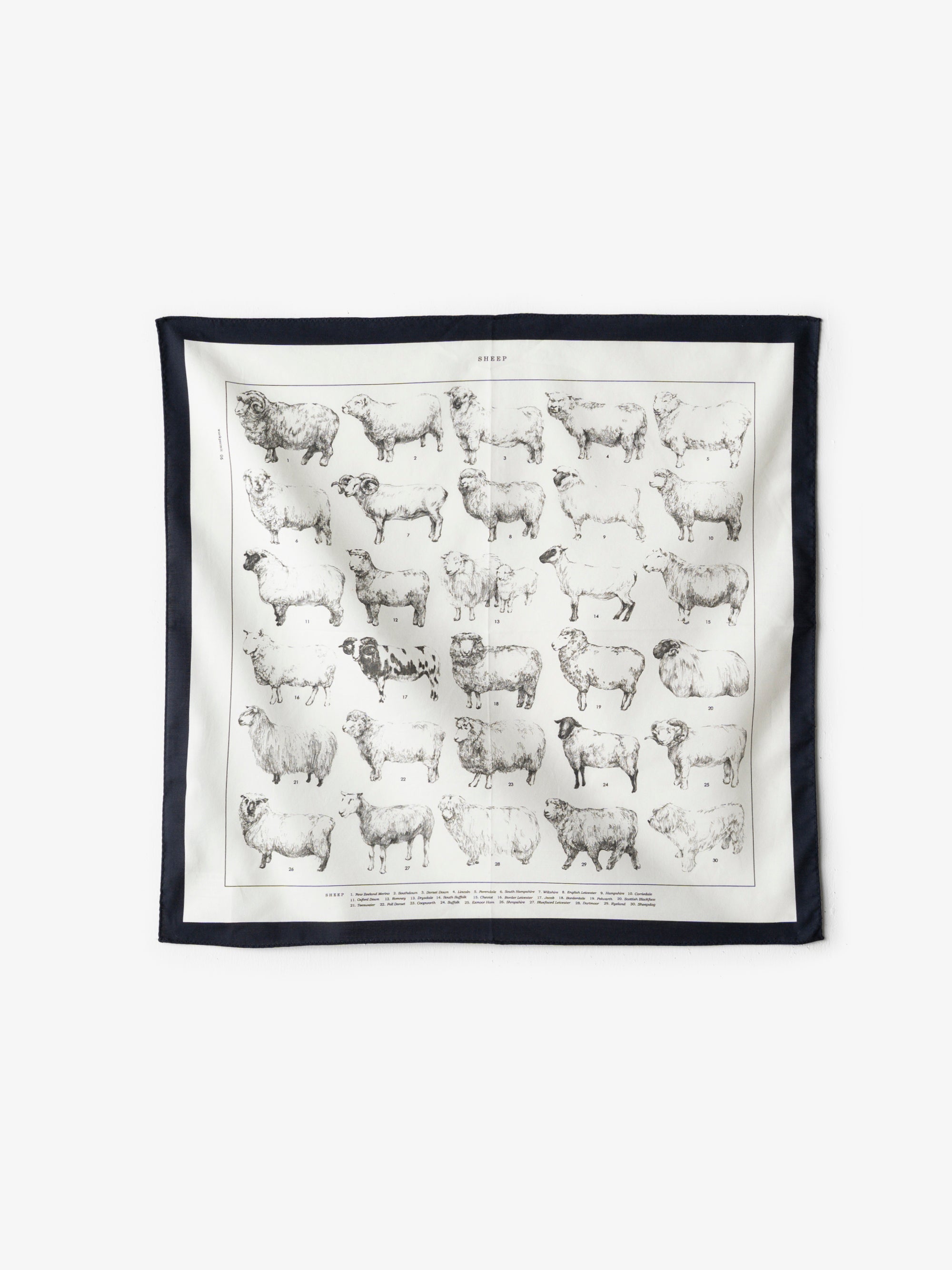 ASEEDONCLOUD/Handkerchiefh