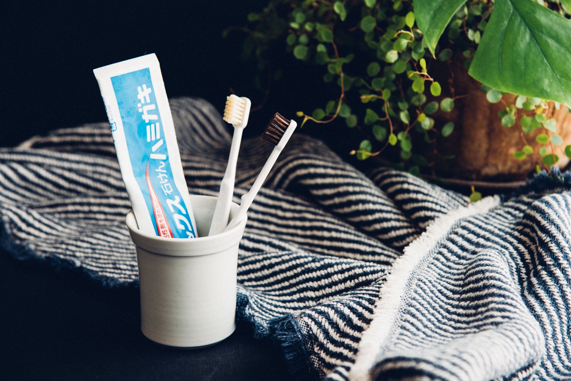 パックスナチュロン/石けんハミガキ