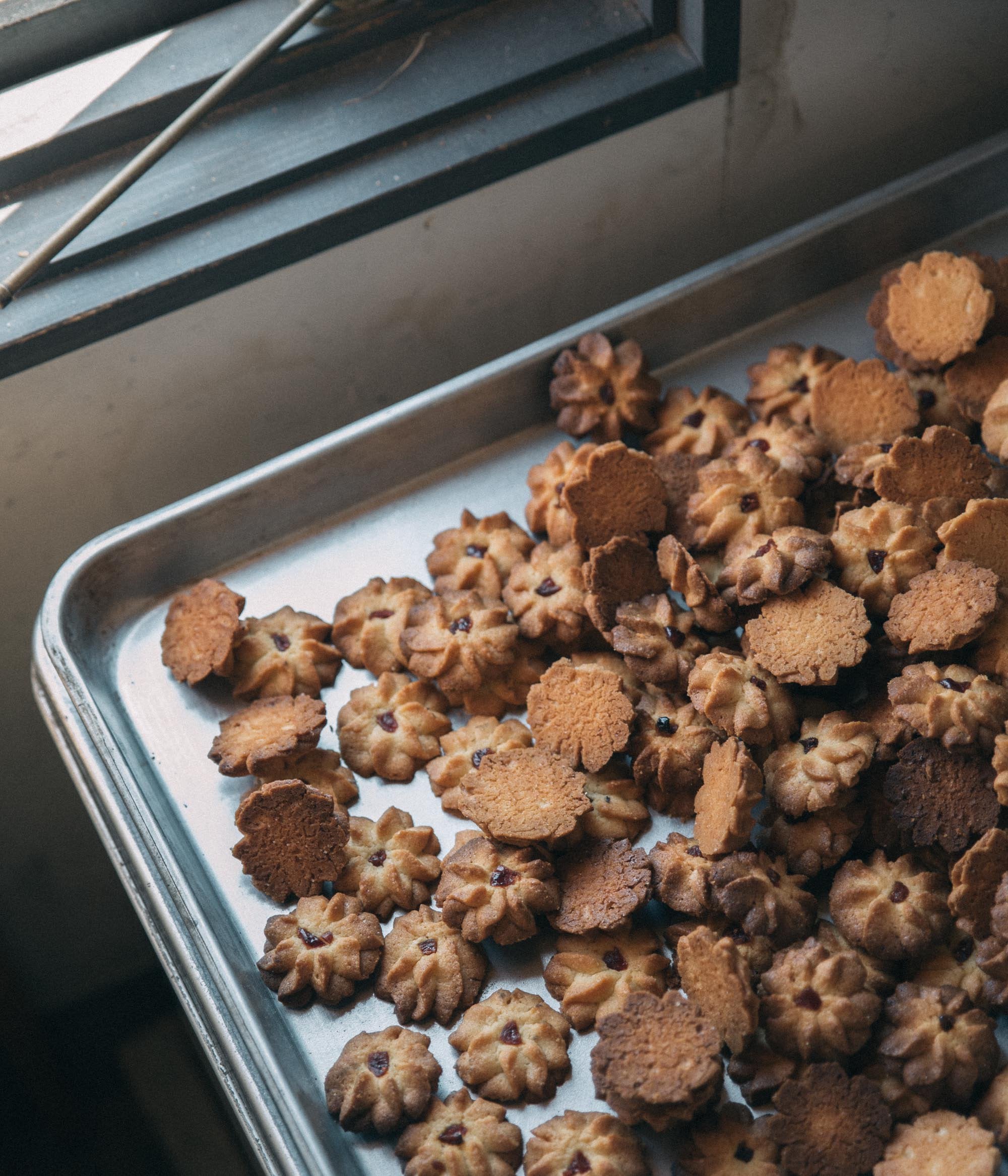 わざわざ/ふつうのクッキー/6枚入り