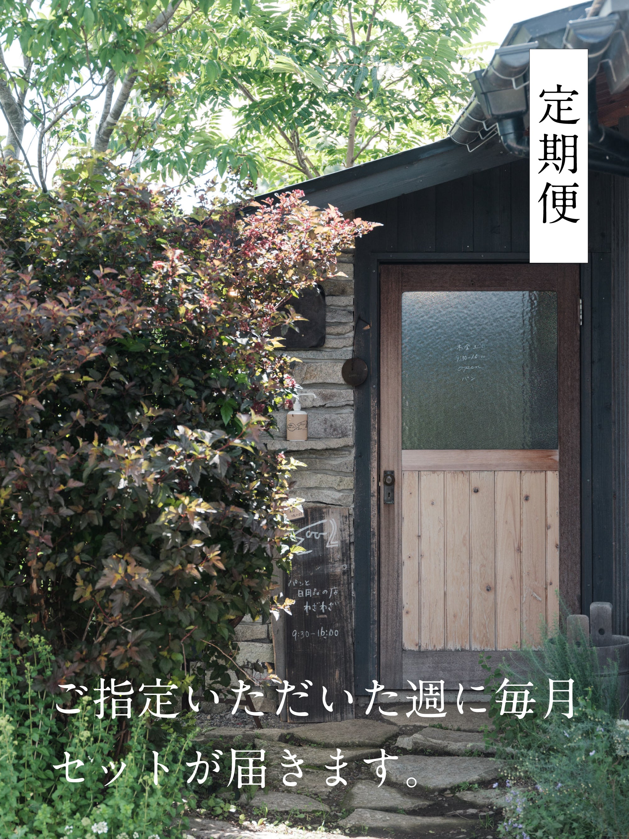 【送料無料】わざわざ/季節がわりのわざわざセット/定期便
